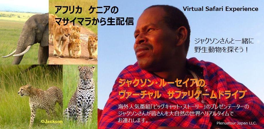 催行決定！【お部屋からTRIP ヴァーチャルサファリ ケニア】激レア 