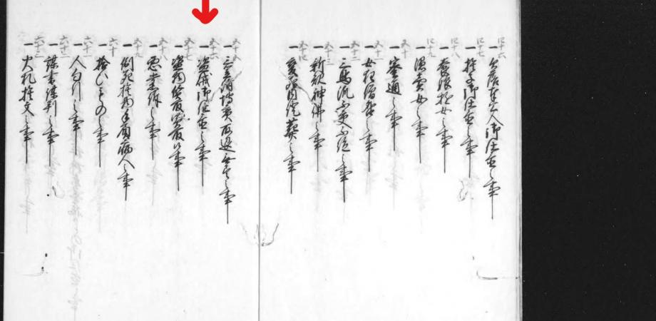 「公事方御定書を読む〜写本「御定書御裁許百箇條」2冊のうち下巻、56条目「盗人御仕置之事」〜」第15回徳川家を楽しむ会例会 Peatix