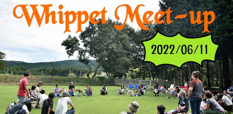 灵缇犬交流会及非交流会（千叶，2026年10月11日 周日）