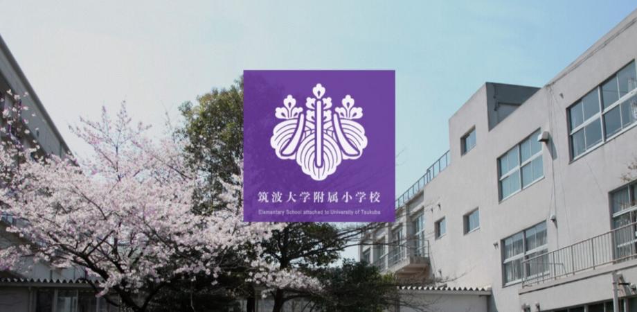 【筑波大学附属小学校】教育研究　バックナンバー　144冊セット　初等教育研究会 初等・支部優待枠】筑波大学附属小学校 研究発表会☆「美意識