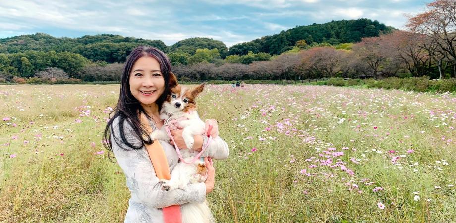 chieart チエアート ヒーリング(ChieArt Official - 陶彩画の chieart チエアート ヒーリング(ChieArt Official - 陶彩画の