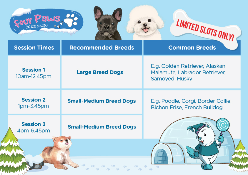 PAWS WALK Upcoming Events