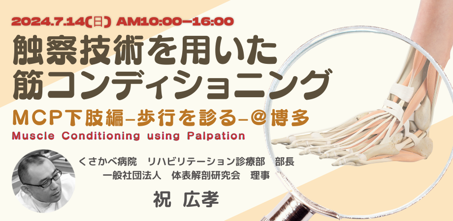 骨格筋の形と触察法 改訂第2版 河上敬介 骨格筋