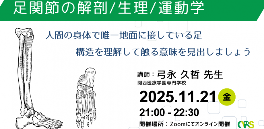【クライアントに携わるすべての方対象】足関節の解剖/生理/運動学