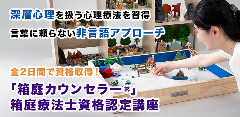 箱庭療法の事例と展開 箱庭療法の事例と展開 箱庭療法 (創元アーカイブス) | 木村 晴子 |本