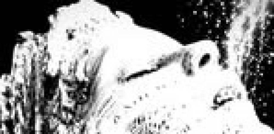 君島大空+西田修大「鏡鏡鏡鏡」 | Peatix