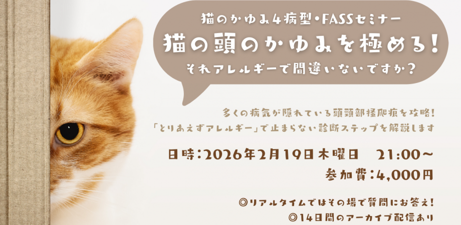 皮ふキャンセミナー【猫の頭のかゆみ】