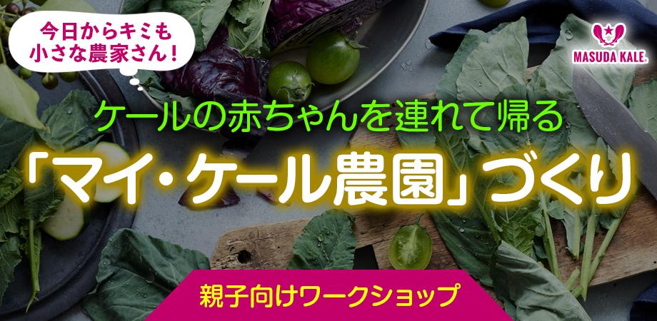 【親子向けワークショップ】今日からキミも小さな農家さん!ケールの赤ちゃんを連れて帰る「マイ・ケール農園」づくり