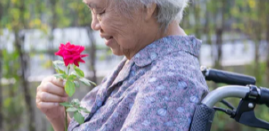 理学療法士・作業療法士のための認知症におけるリハビリテーション｜一括申込