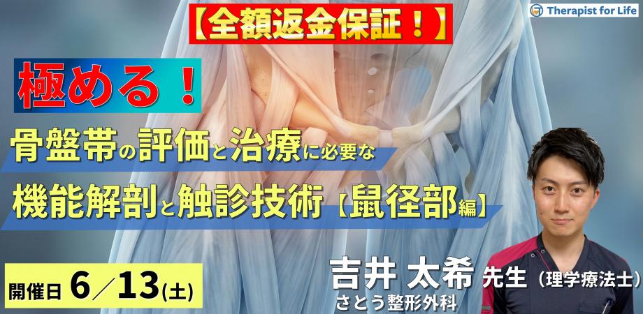 【※全額返金保証付き】骨盤帯の評価・運動療法を極めるための機能解剖と触診技術【鼠径部編】〜鼠径部痛症候群とFAIの鑑別、神経絞扼と軟部組織の触診～　講師：吉井太希先生 