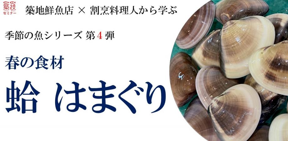 築地鮮魚店×割烹料理人から学ぶ 季節の魚シリーズ第4弾 春の食材 蛤(はまぐり)