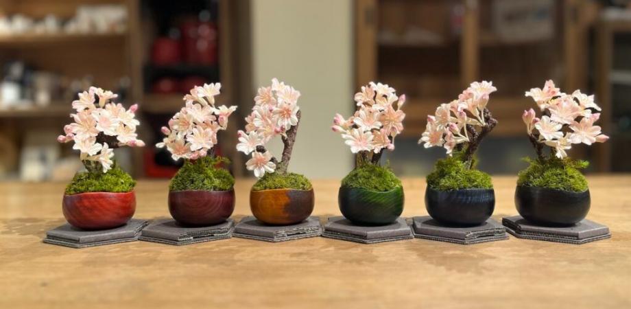 植物のような拭き漆の器と、自然素材だけでつくった材料で桜の盆栽をつくるワークショップ。