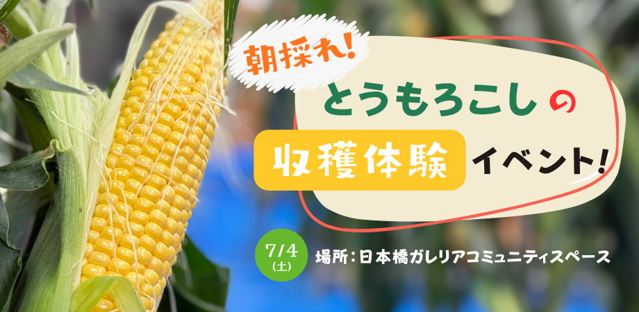 Fresh Corn Harvest Experience — event in Tokyo