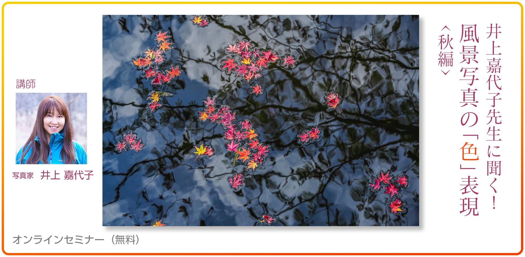 5分間の光」〜万博花火写真展〜 in淀屋橋 ｜完全事前登録制（先着順
