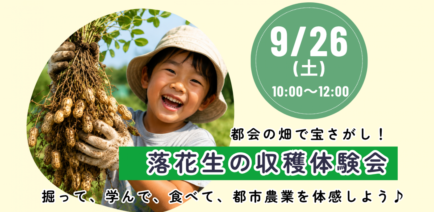都会の畑で宝探し！落花生の収穫体験会