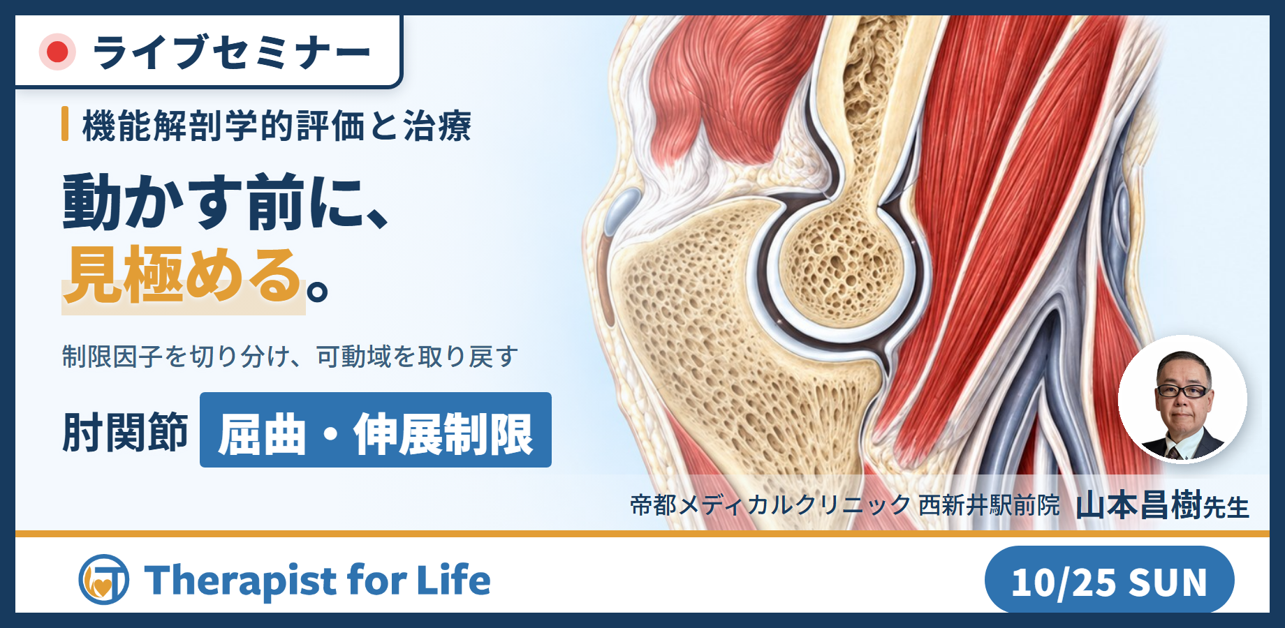 肘関節の屈曲・伸展制限に対する機能解剖学的評価と治療～関節特性から可動域の制限因子を見極める～　講師：山本昌樹先生