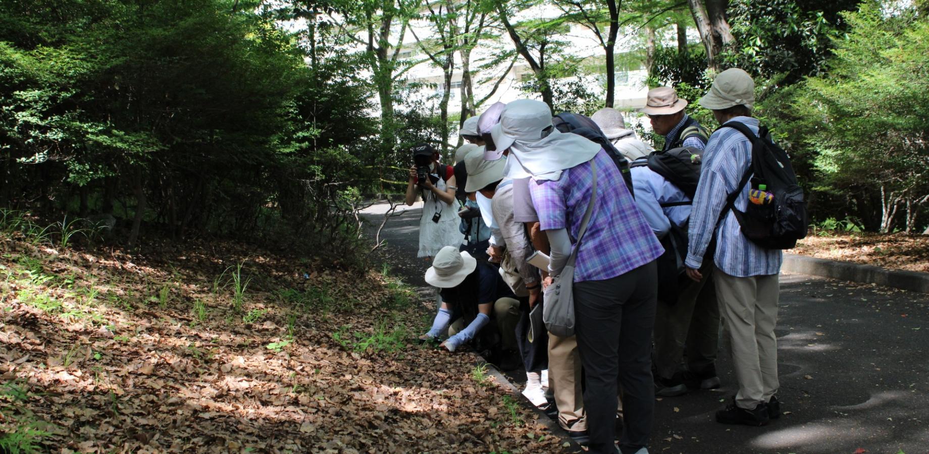 No19_汐入公園開園20周年記念講座 都心の自然観察！ 「汐入公園の植物たち」