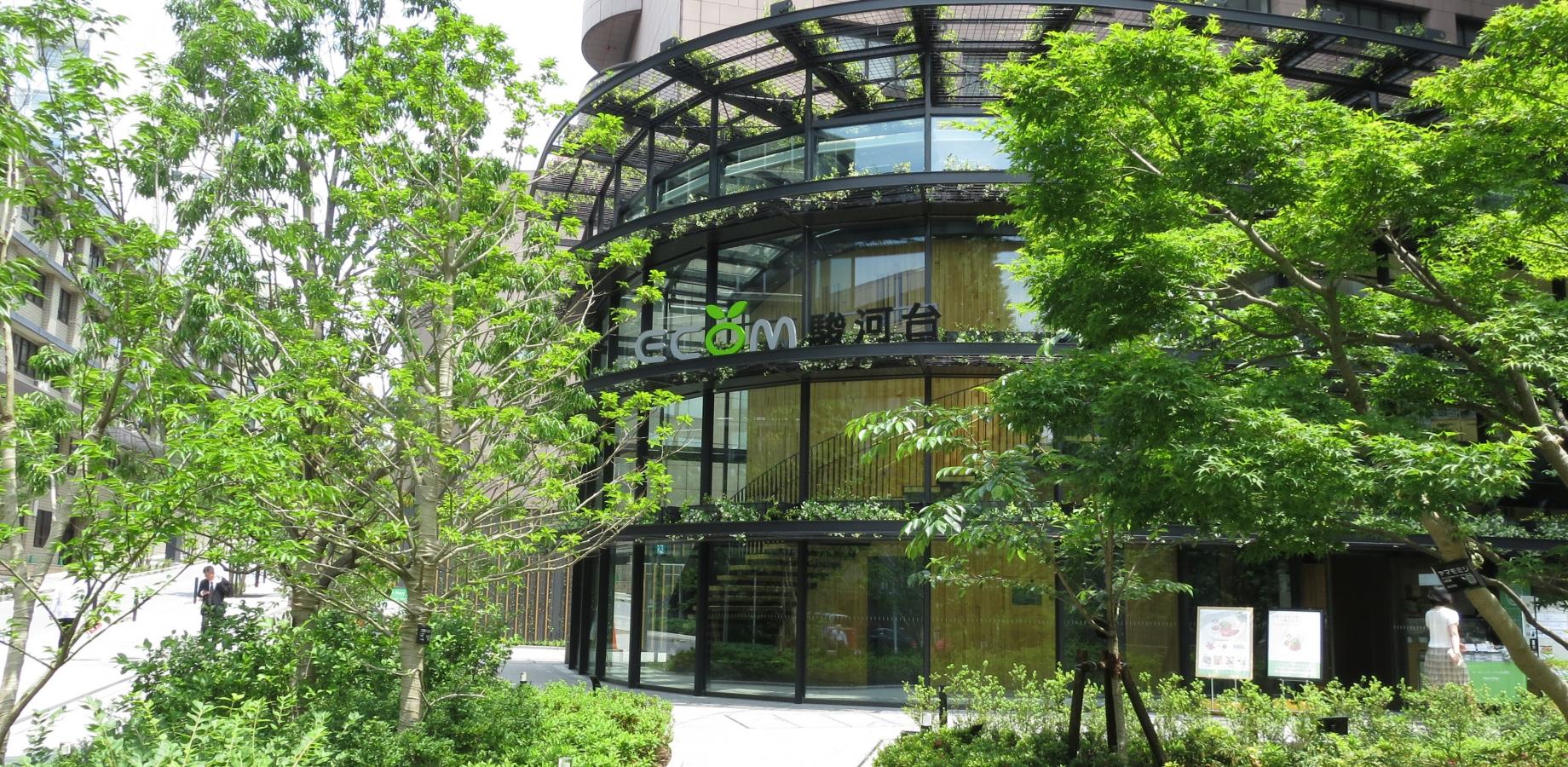 No8_＜TOKYO GREEN BIZ 関連講座３＞ 都心で実現する自然共生 ― 駿河台緑地から学ぶ生物多様性