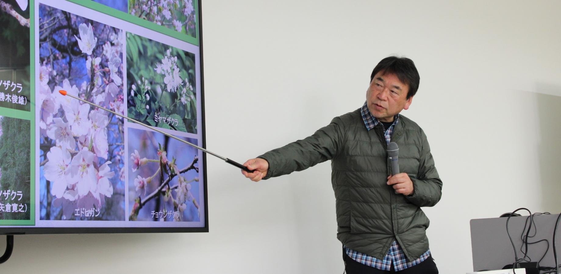 No26_桜と庭：お花見前の学び① 「桜とサクラ・花見の基礎知識」