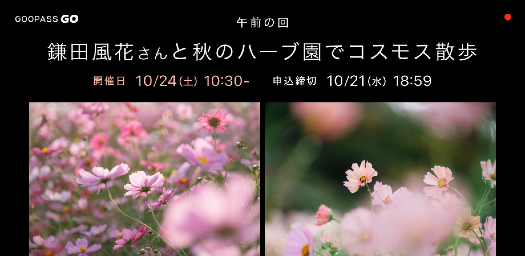 鎌田風花さんと秋のハーブ園でコスモス散歩【GOOPASS GO ♯204　10月24日（土）午前の回】