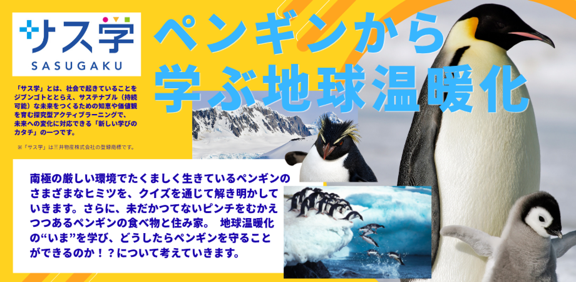 【小学生対象】2026秋の「サス学」トピック講座「ペンギンから学ぶ地球温暖化」10/4