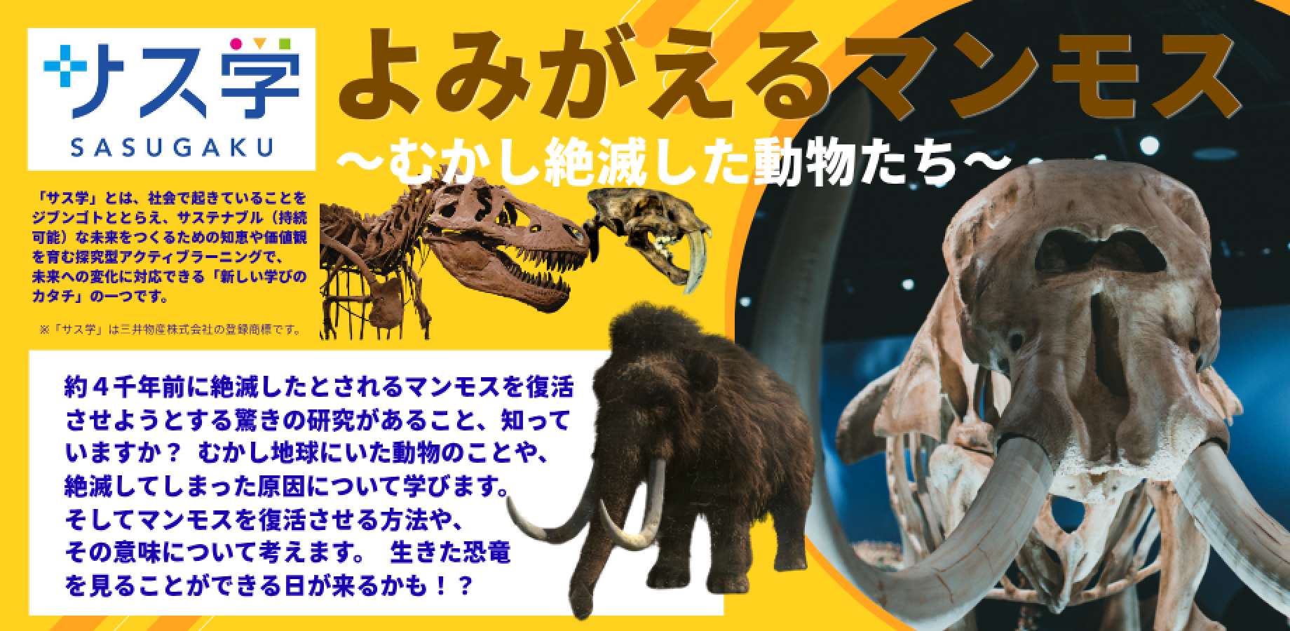 【小学生対象】2026秋の「サス学」トピック講座「よみがえるマンモス～むかし絶滅した動物たち～」10/18