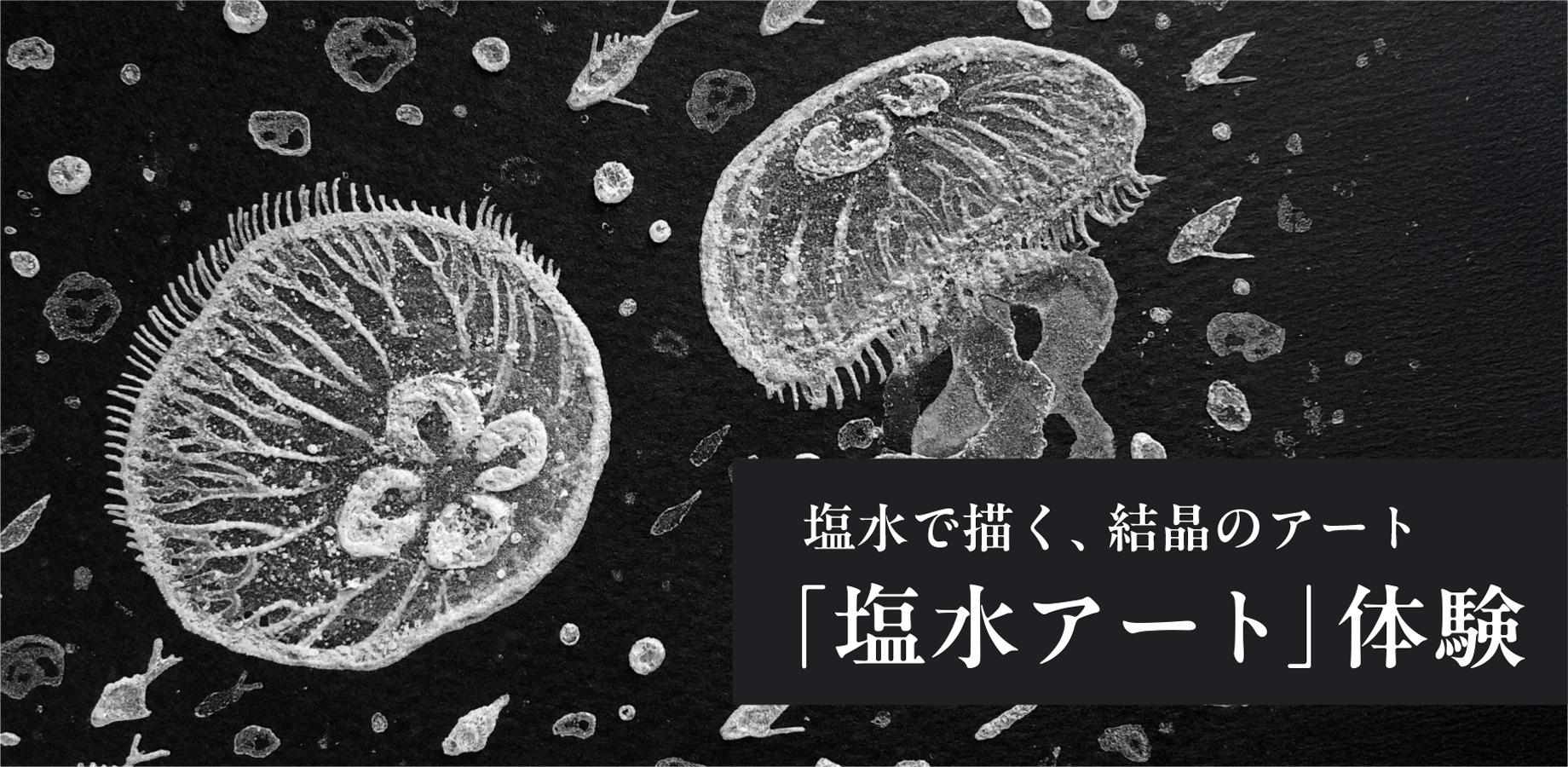 塩水で描く、結晶のアート。― 塩水アーティスト ヒラシマ マイさんと楽しむ「塩水アート」体験 ―