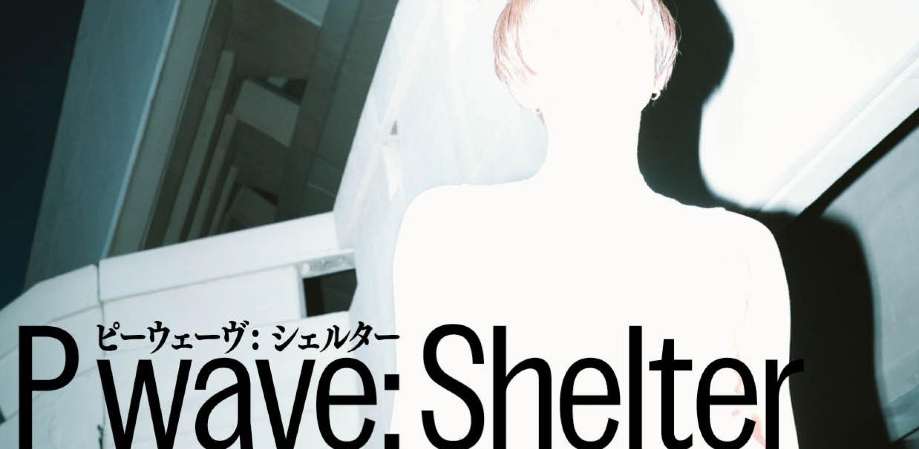 【11/21（土）15:00】ハラサオリ『P wave: Shelter』