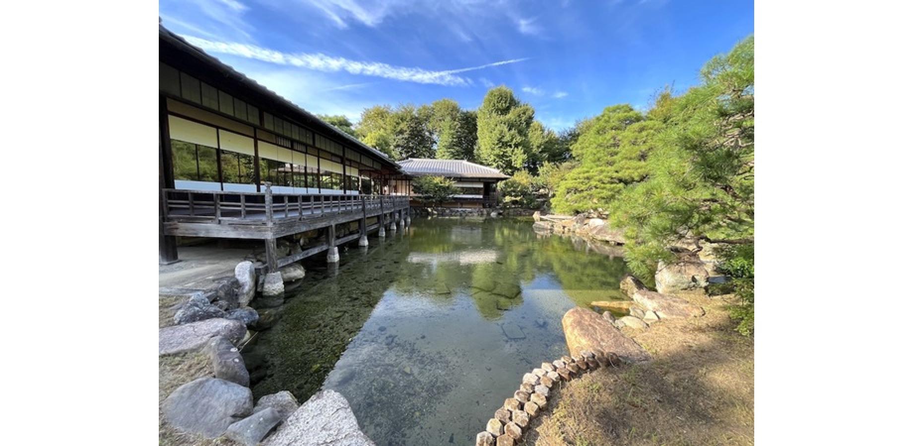 【ランチ付き】国指定名勝「渉成園」参観と老舗旅館「井筒安」の京料理（11月6日）