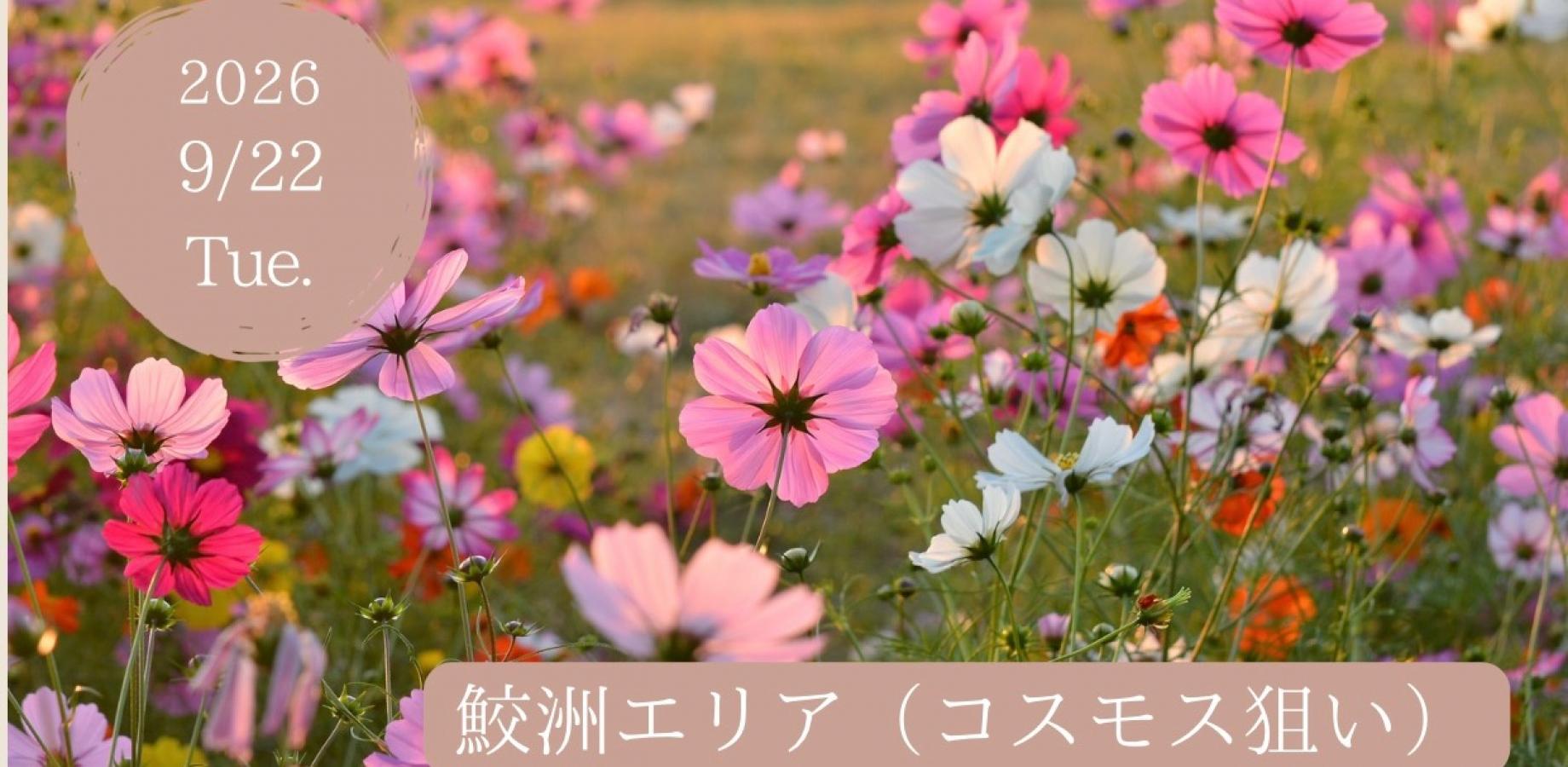 9/22(火祝) 鮫洲エリア