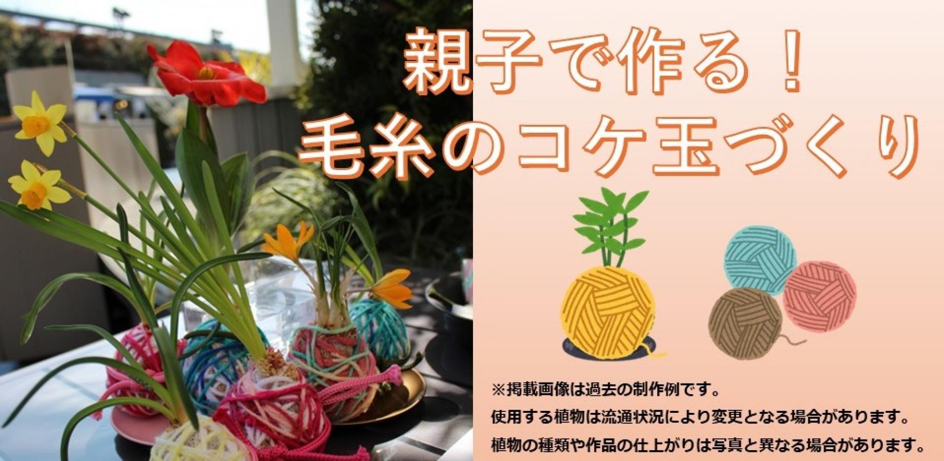 No31_親子で作る！毛糸のコケ玉づくり