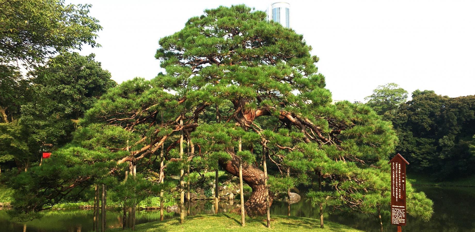 No0_小石川後楽園ガイドボランティア養成講座事前説明会