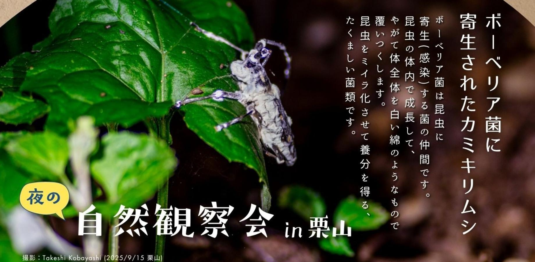【9月】夜の栗山観察会