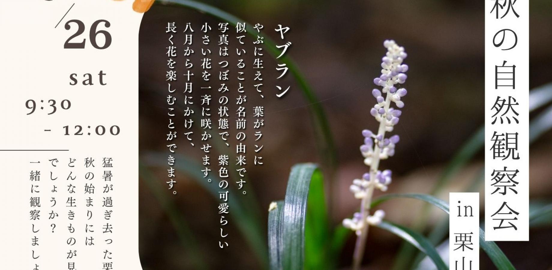 【9月】初夏の栗山観察会