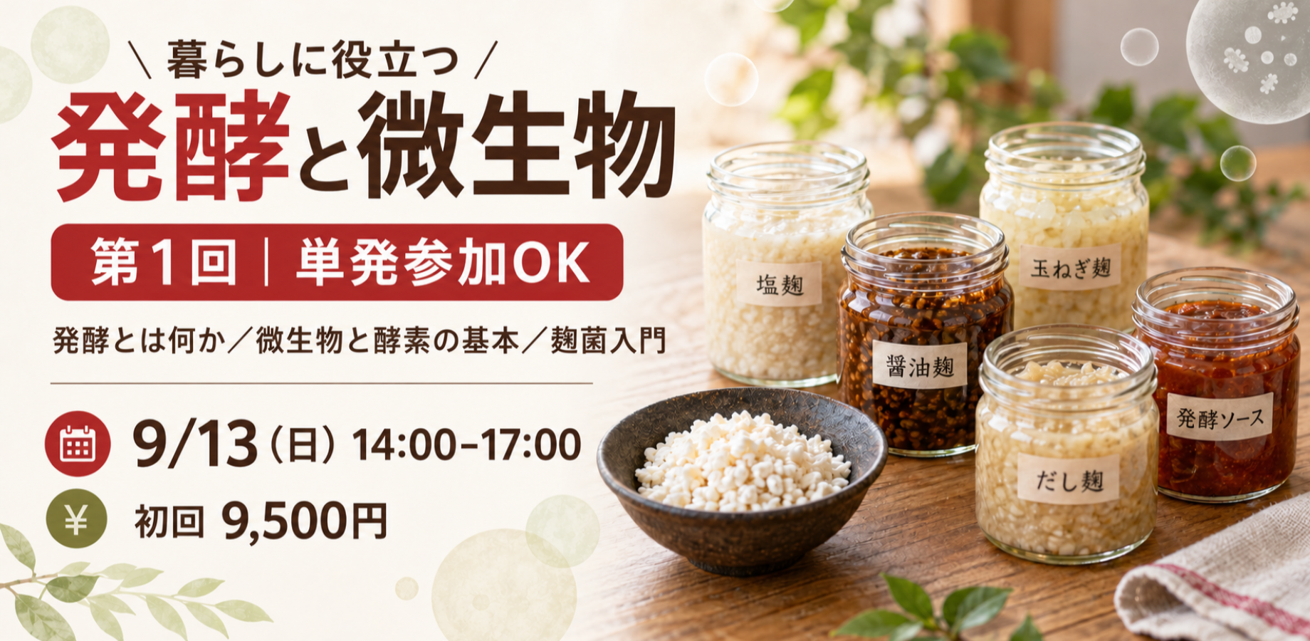 『暮らしに役立つ「発酵と微生物」第1回｜発酵とは何か・微生物と酵素の基本・麹菌入門』